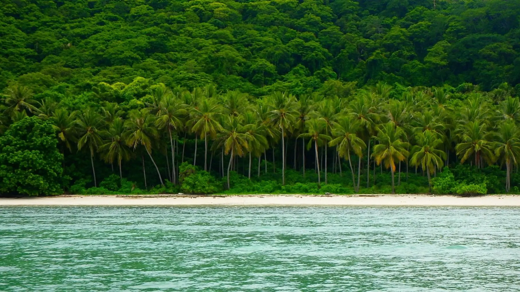 Le terrain de la plage de Pinang et sa jungle, avant les travaux en 2015