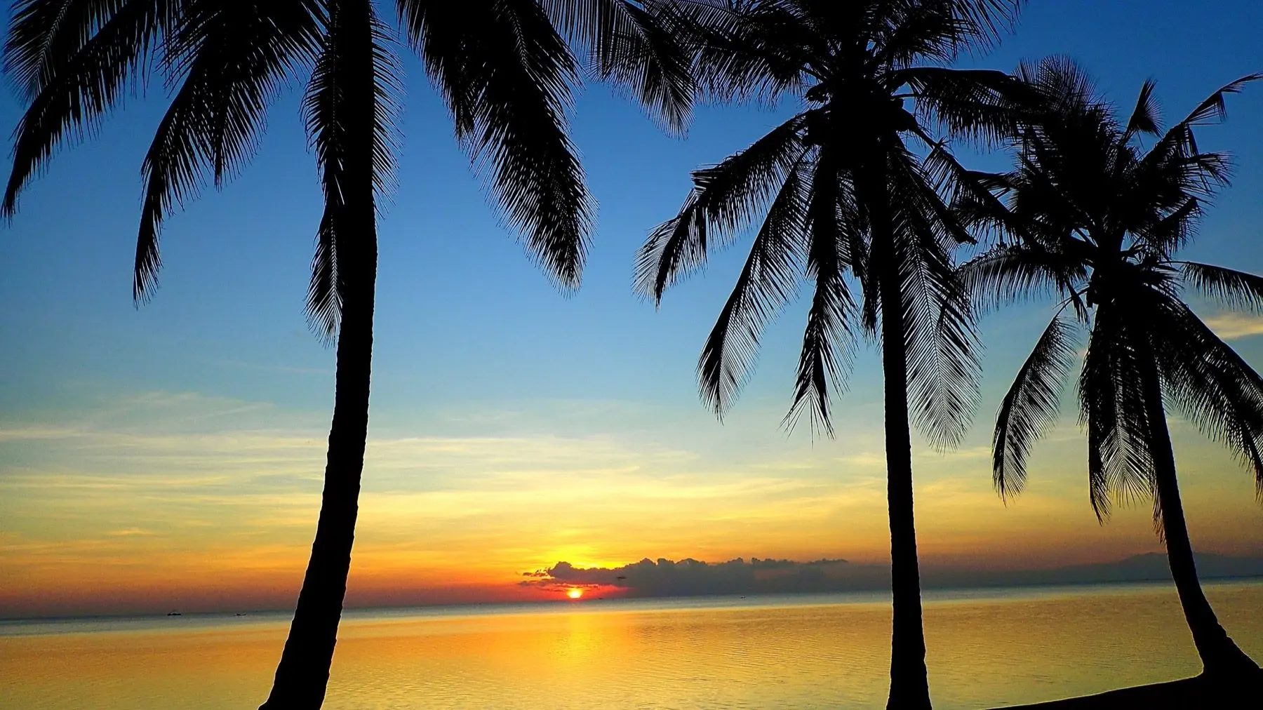 Lever de soleil sur la plage de Pinang à Selayar