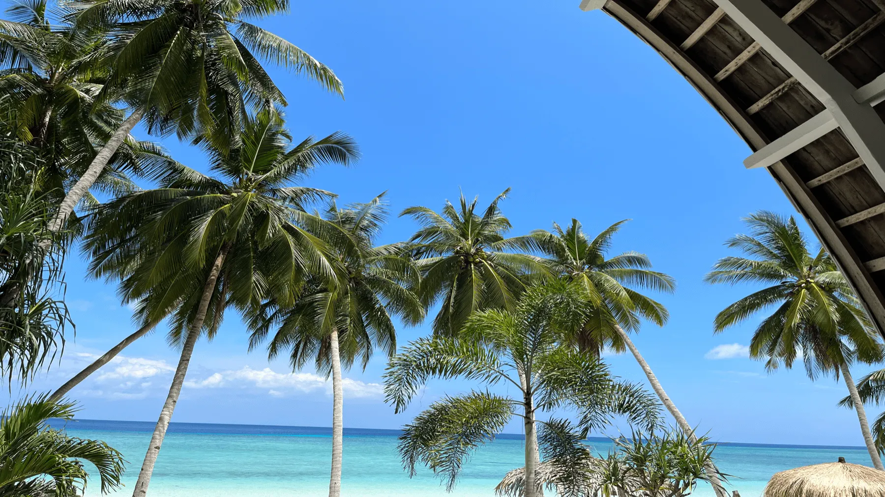 Vue lagon et palmiers depuis une villa front de mer